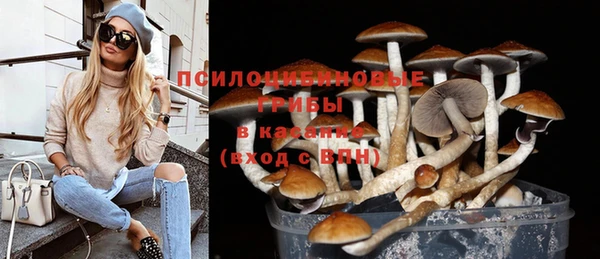 индика Абдулино